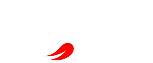Yummy Foods Logo